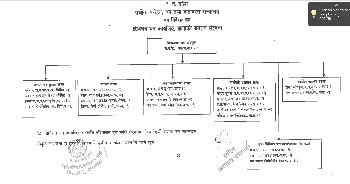 संगठन संरचना